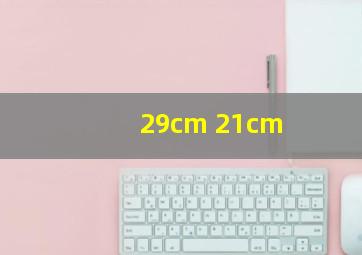 29cm 21cm